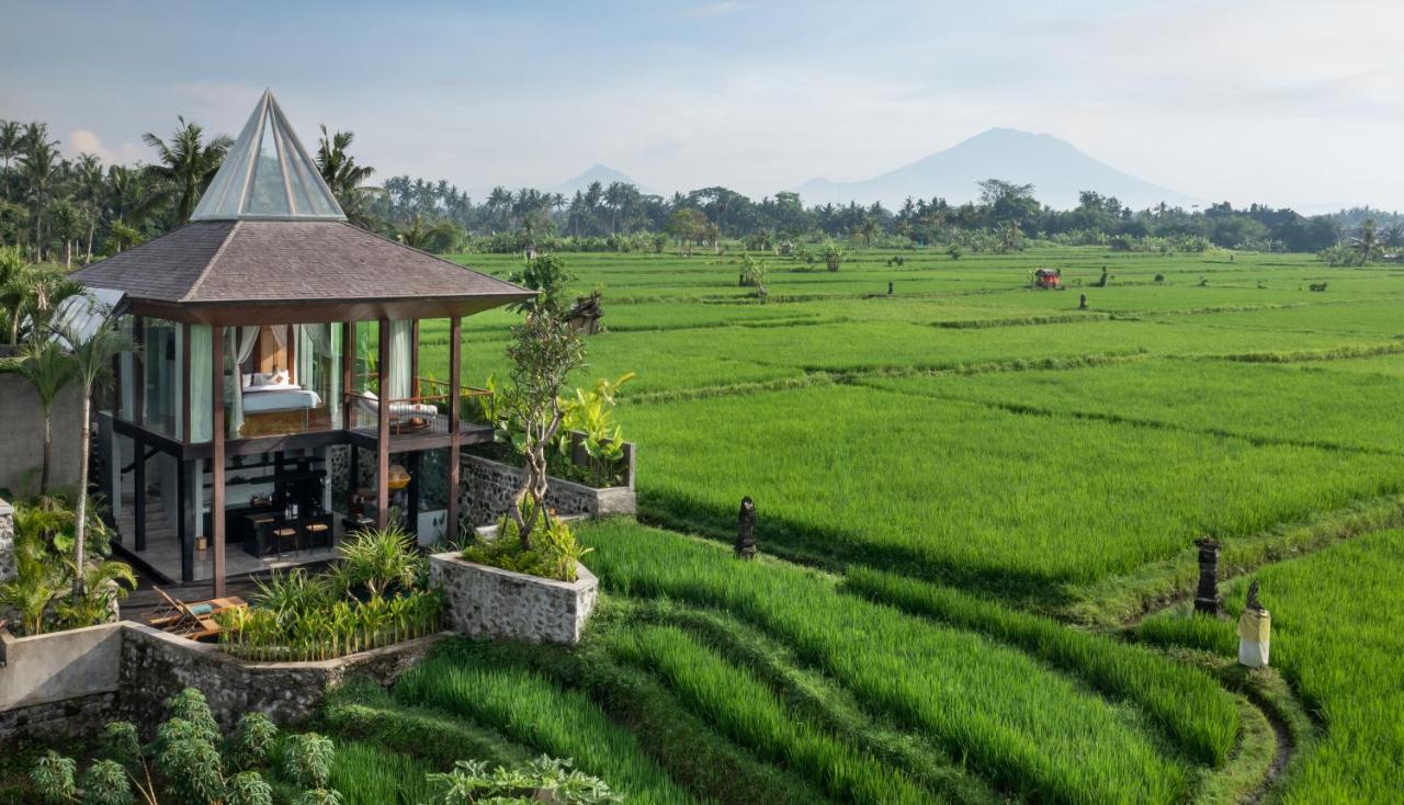 Gdas Bali Health And Wellness Resort - Adult Only Ubud  Luaran gambar