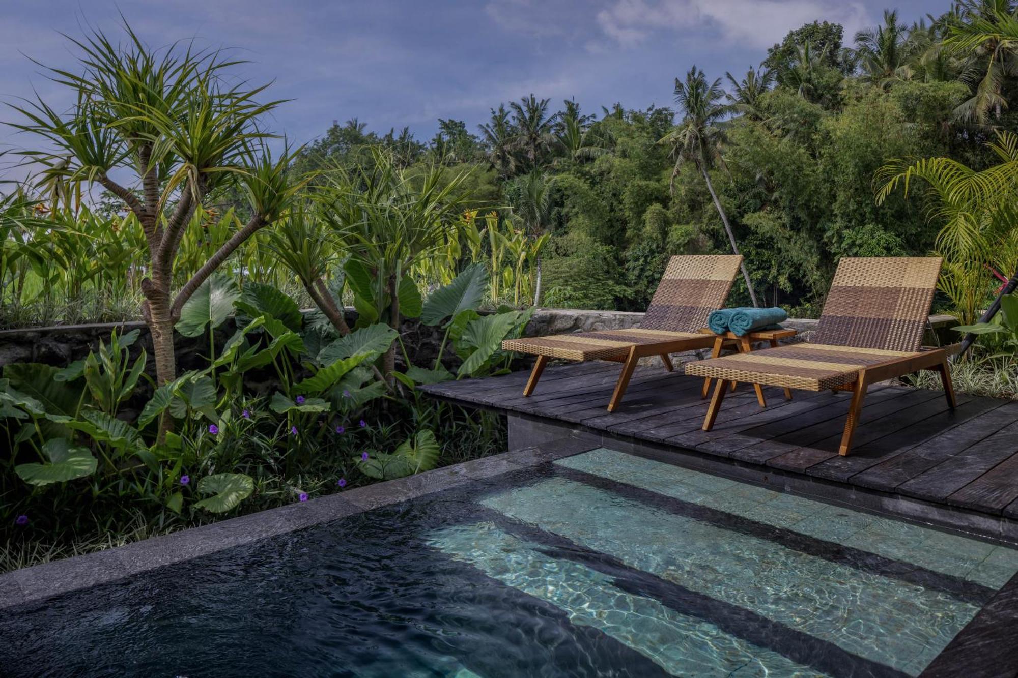 Gdas Bali Health And Wellness Resort - Adult Only Ubud  Luaran gambar